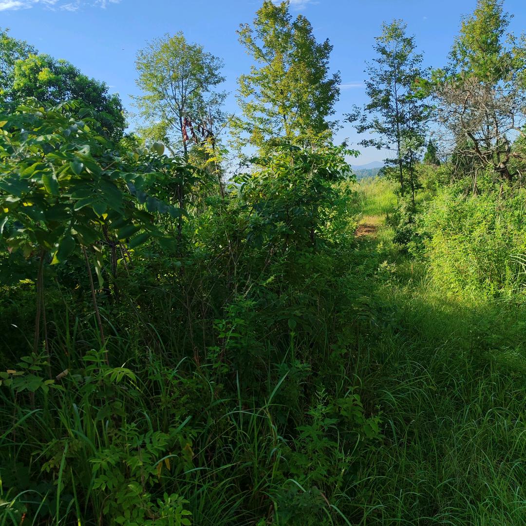 凝芸冰澜_21367～～～