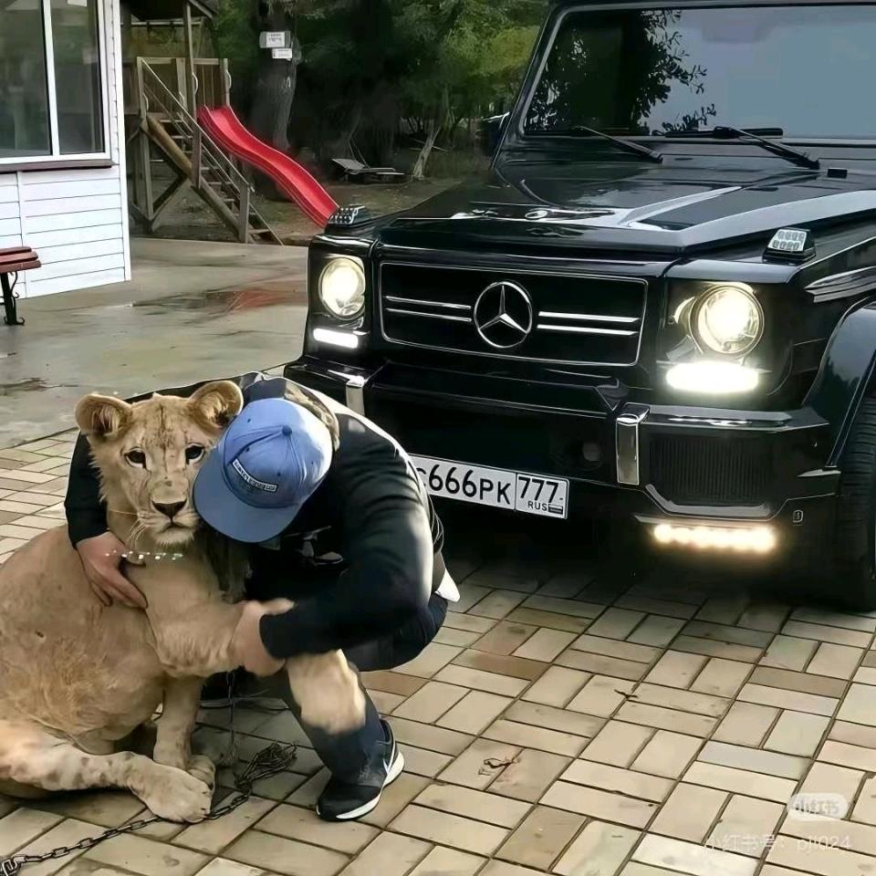 YOURLION
