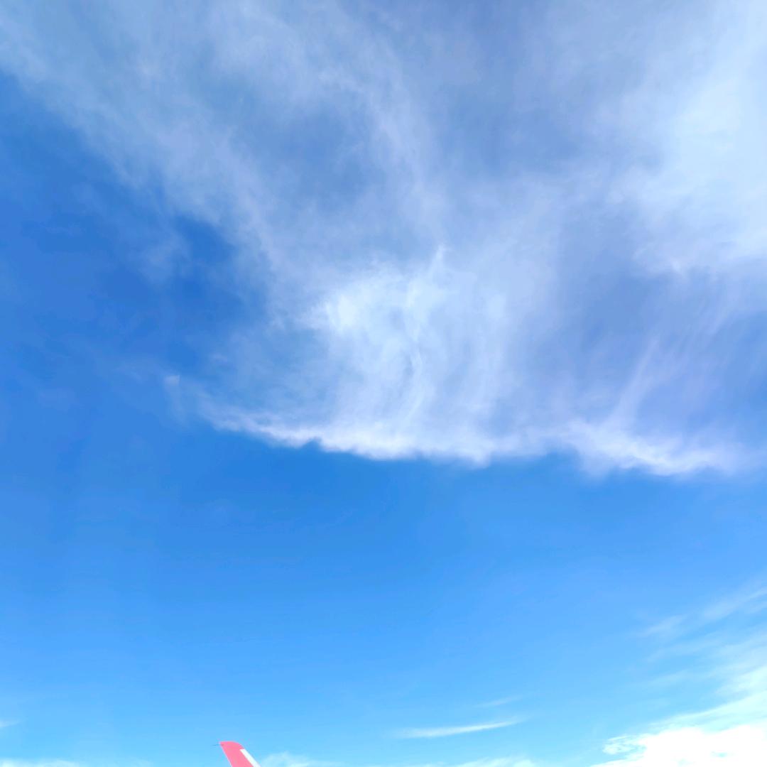 梧桐坠头像