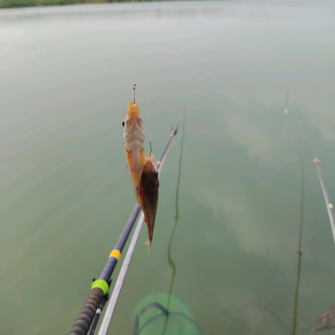 大师兄爱钓鱼🎣🎣🎣🎣🎣🎣