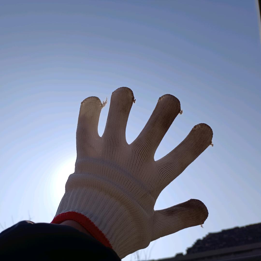 丑姐姐