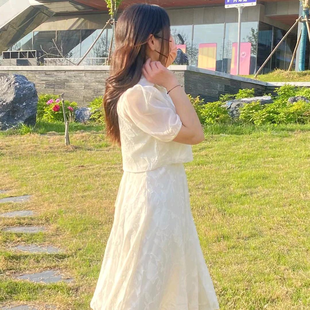 鸽子