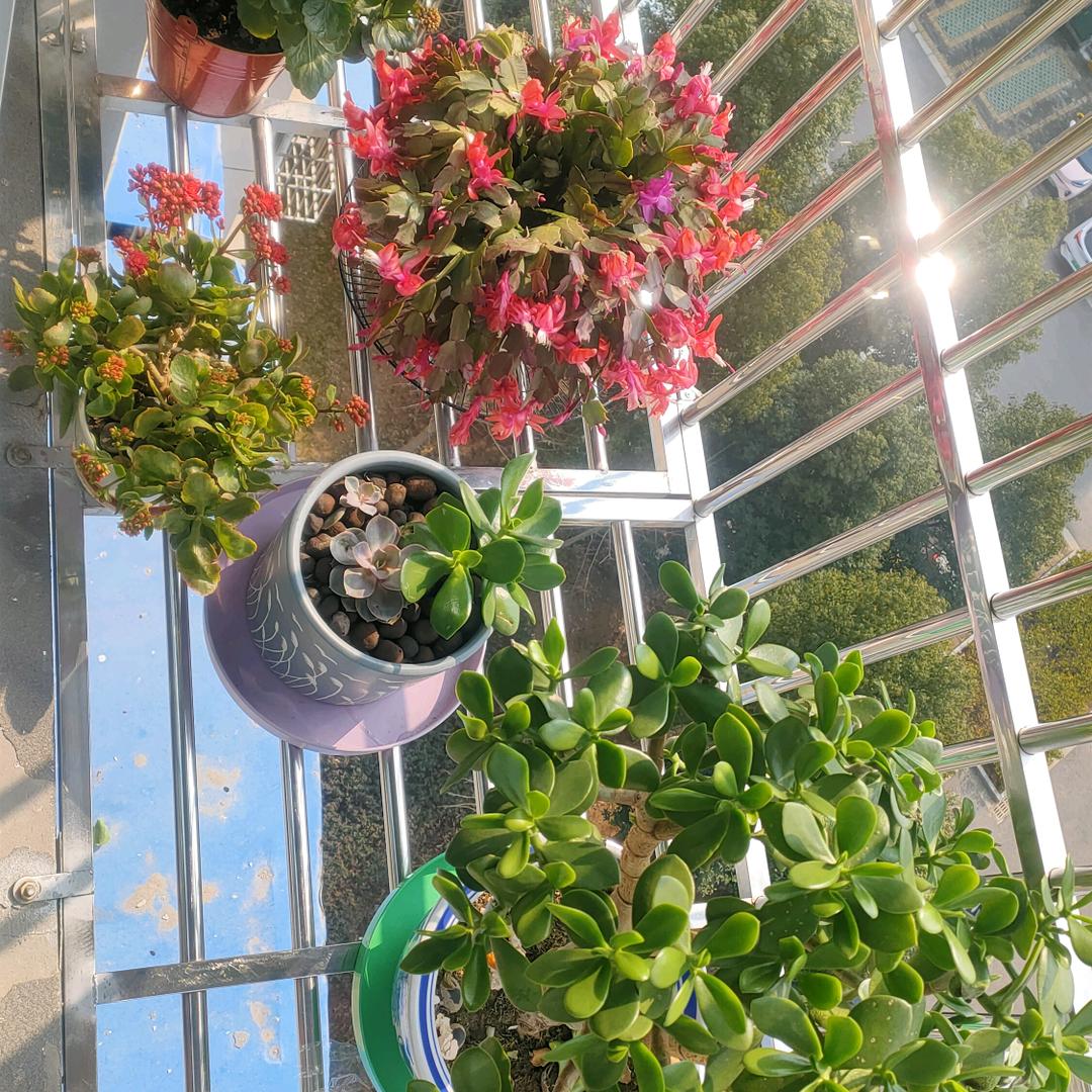 星际蔚蓝