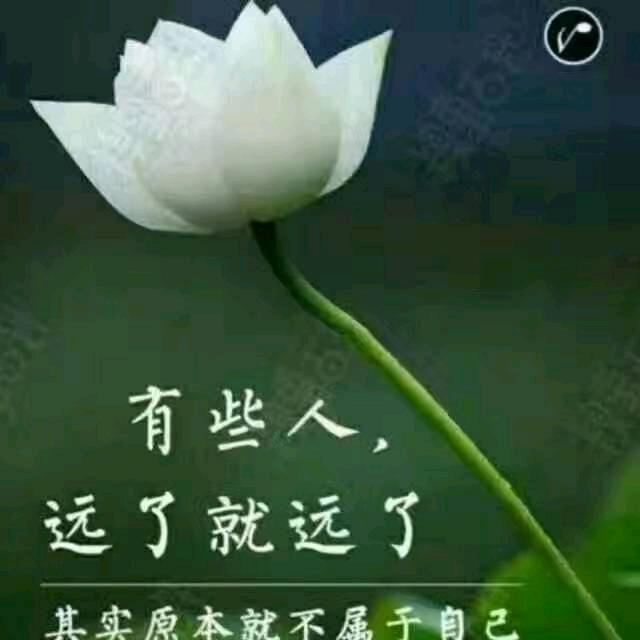 宏宏