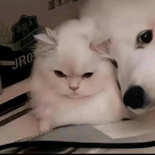 南风抚鹿