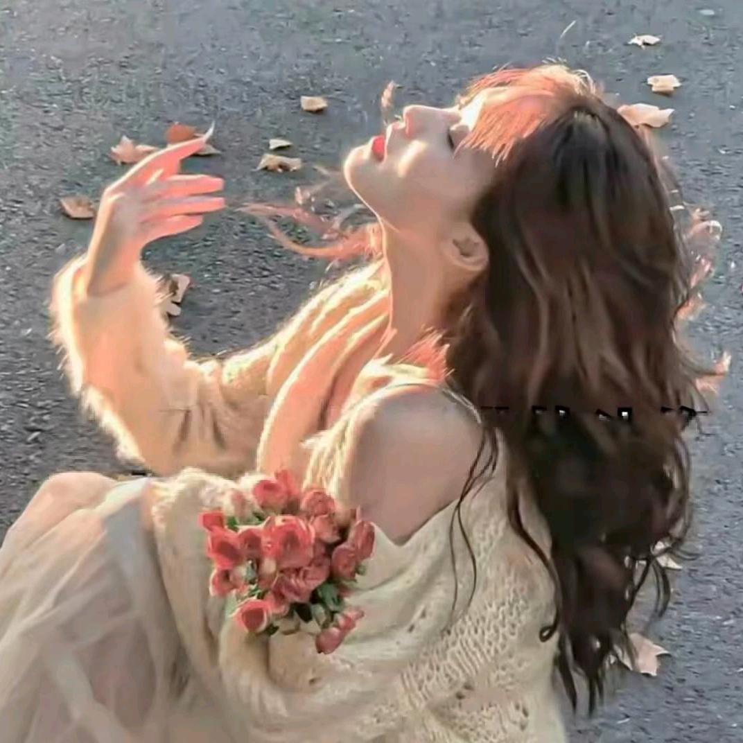 旧识🦋
