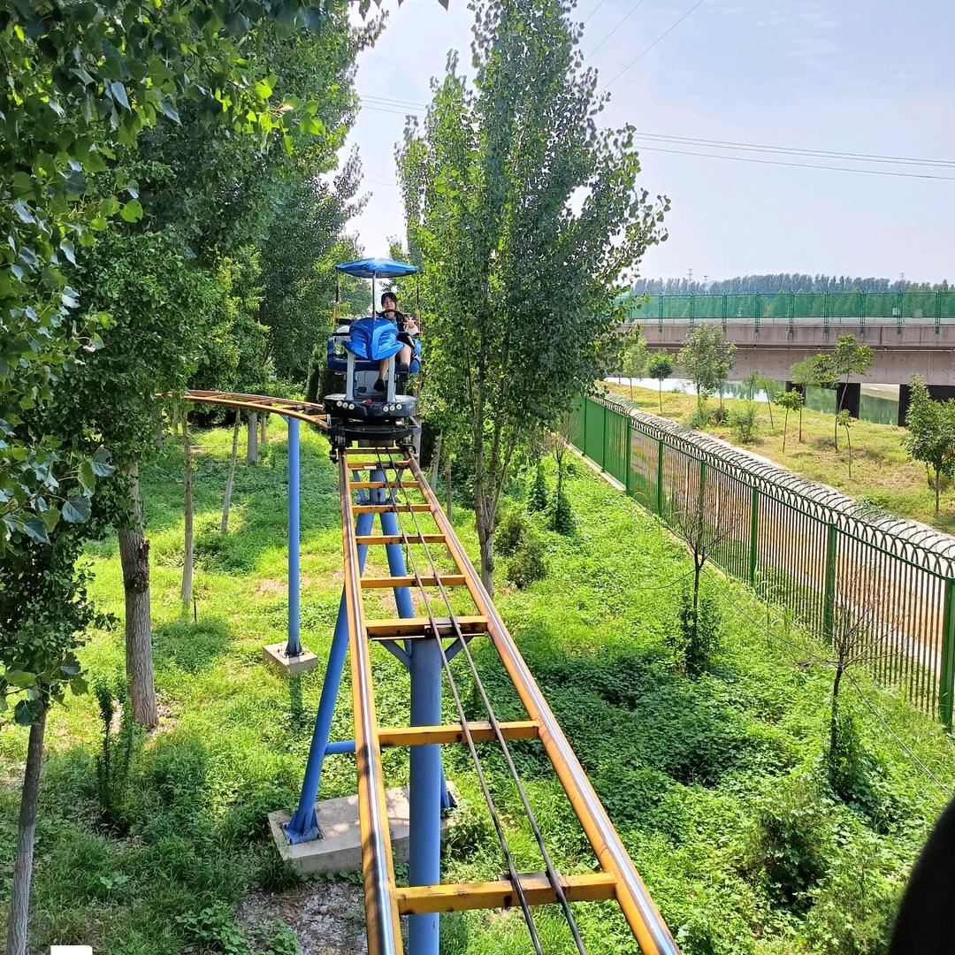平头哥