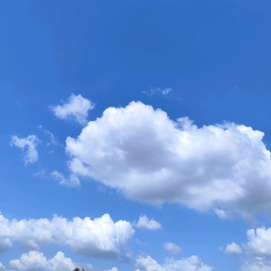 南风知我意