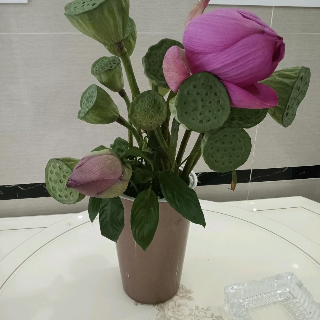 张姐