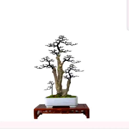 巧花坊-巧巧妹