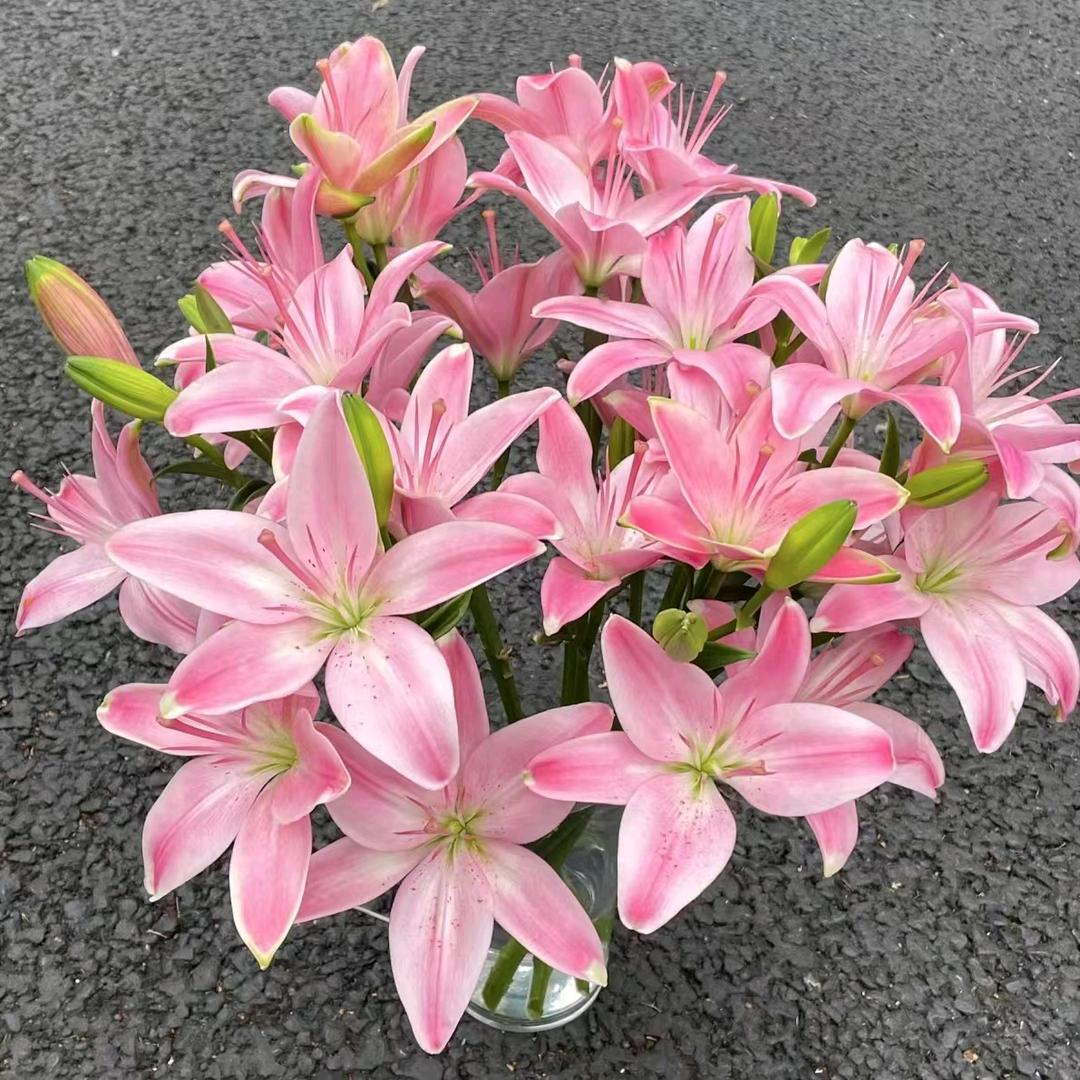 小世界🌻💖