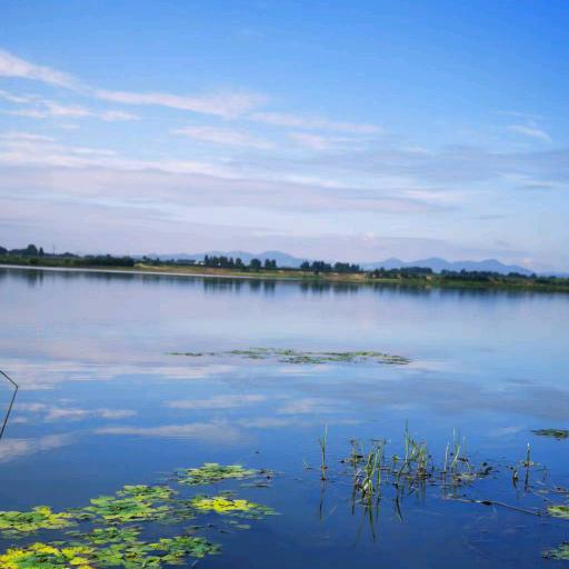 王老师聊康养生活