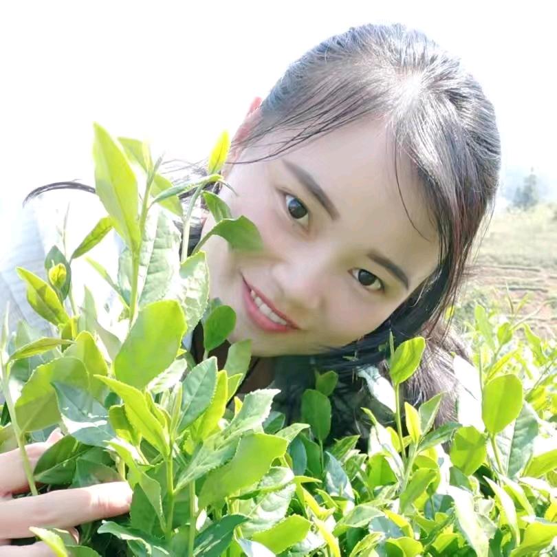 @众祥轩名茶