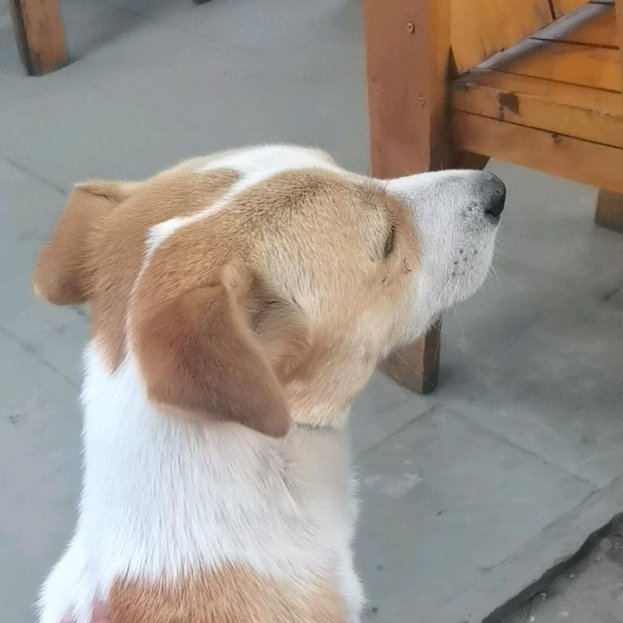 问春风