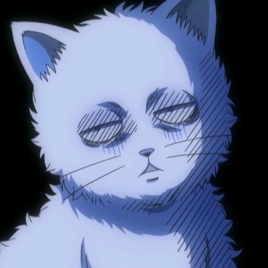 -猫冉yu-