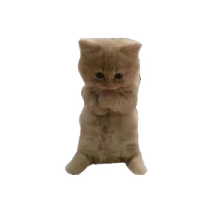 虾头男