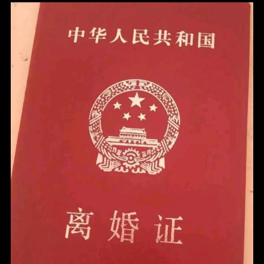 孤独的陪伴