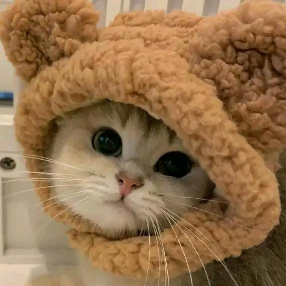 运运吖