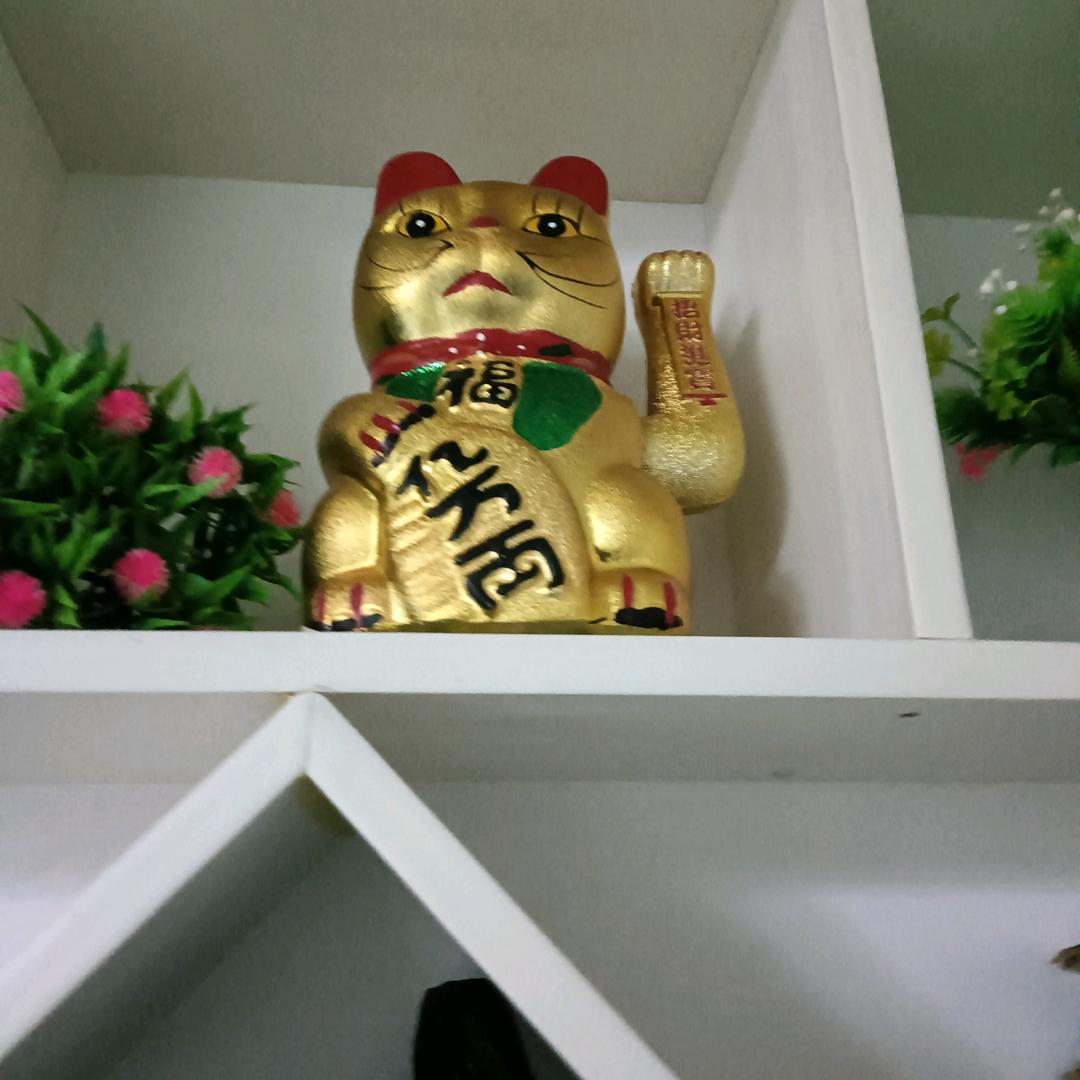 专业打爆磨剔打找李师