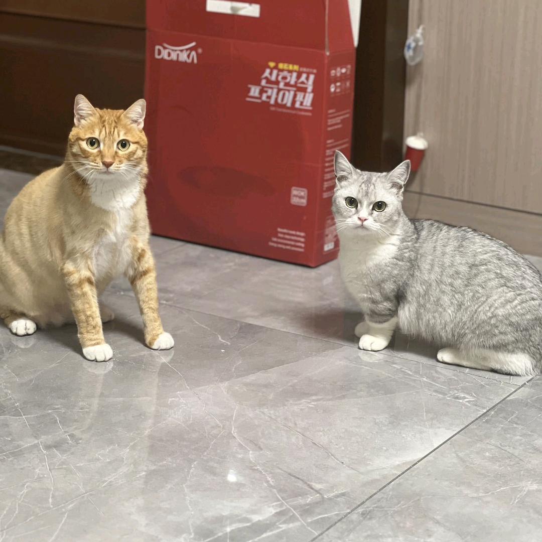 经宜百货