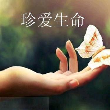 喜欢钓鱼，是个高手