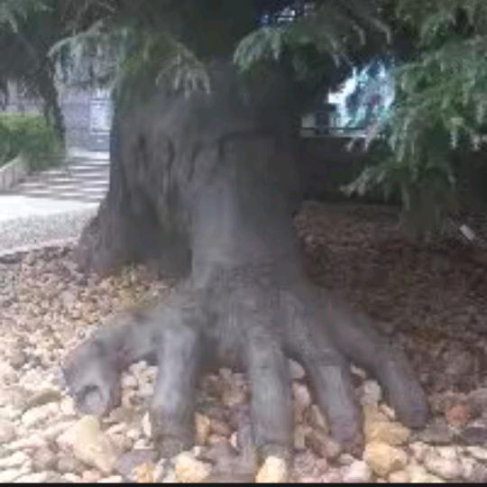 东平