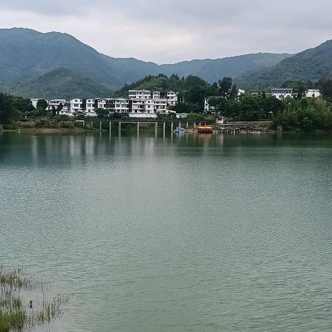 250614小鱼