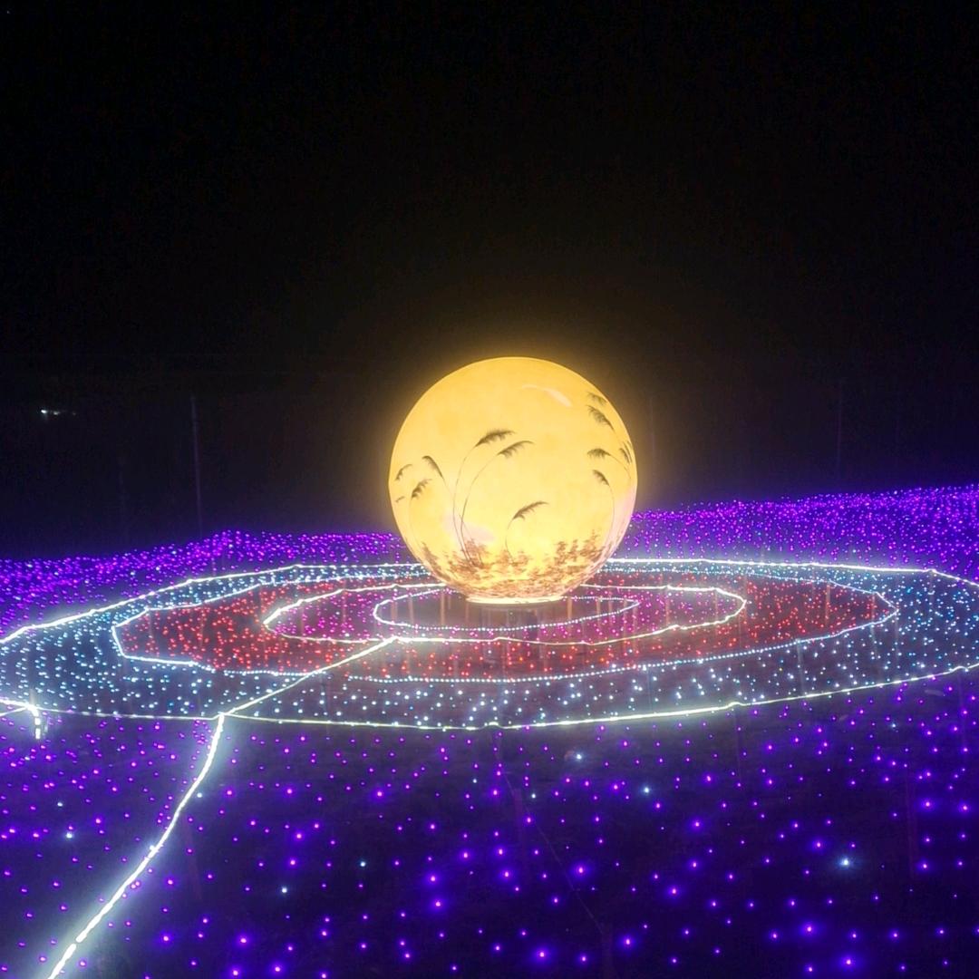 ꧁金桔大叔👑꧂