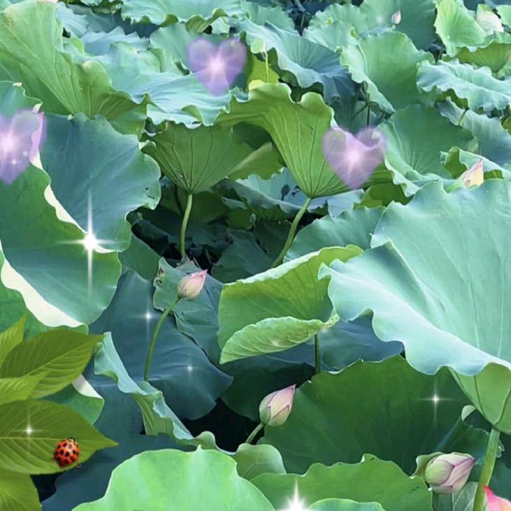 🌨🌟🌠🍒一往情深