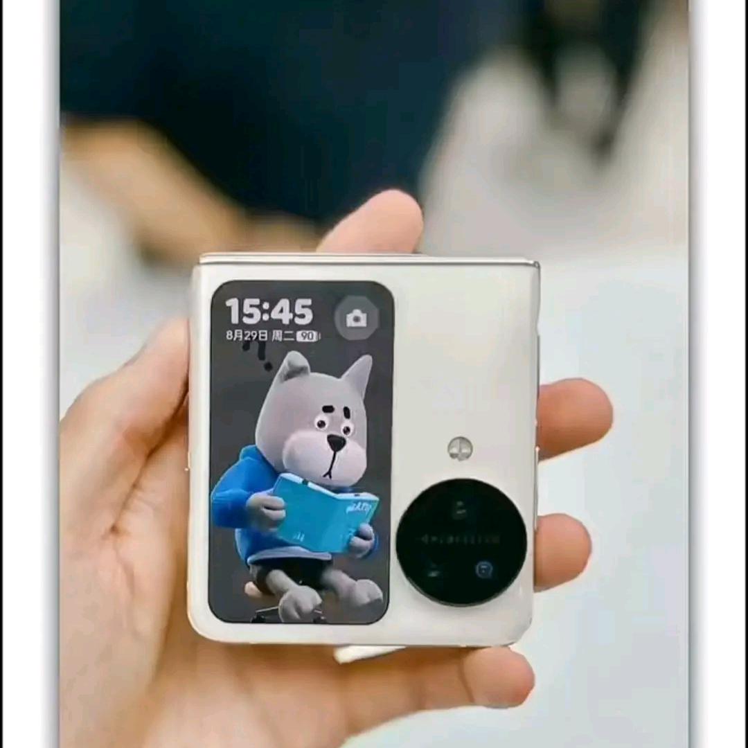财运小O