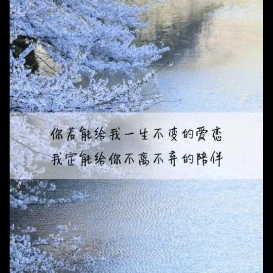 ゞ小哲哲