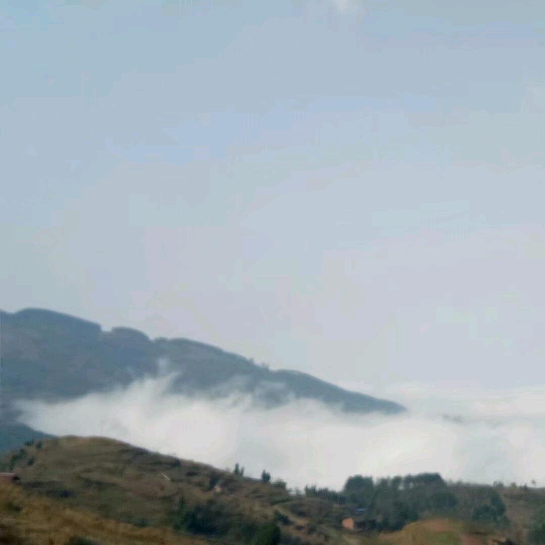 沉默了
