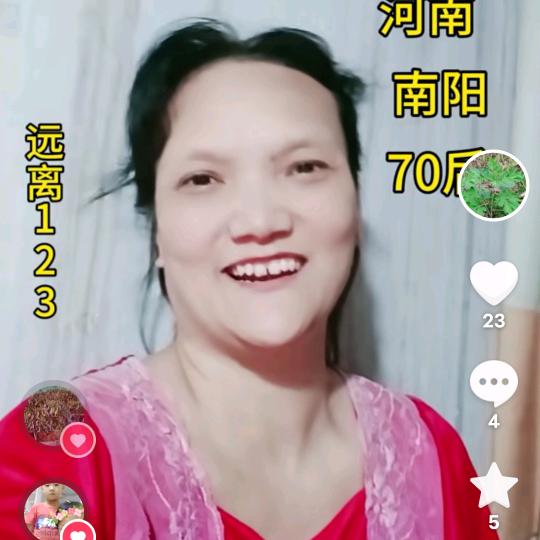 河南高姐