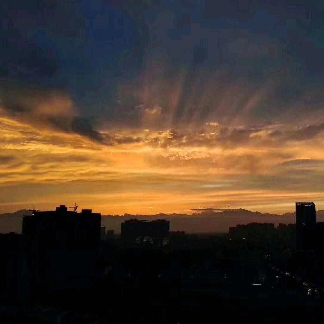 阳光多明媚