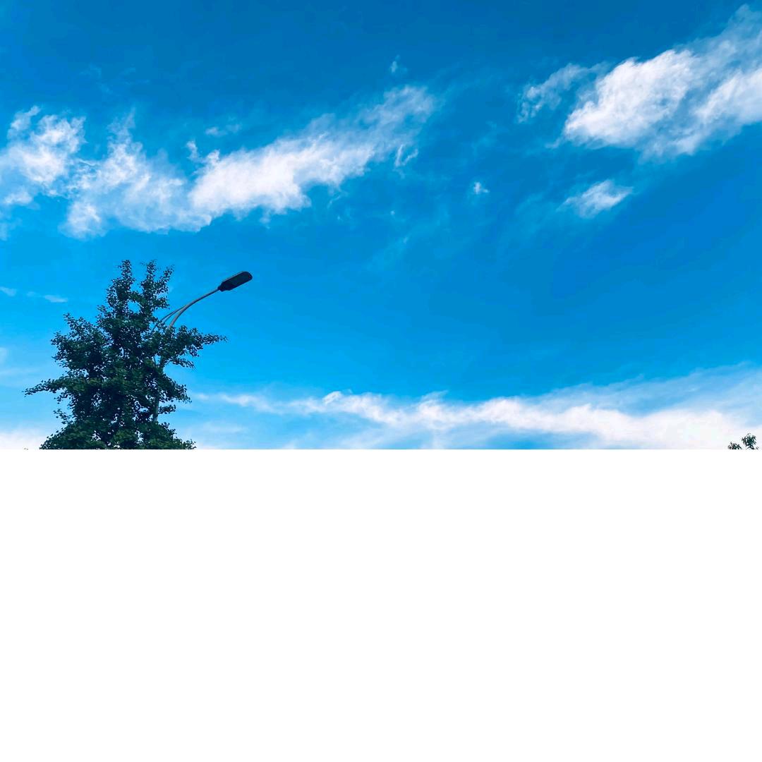 傲雪寒梅，拒绝私聊