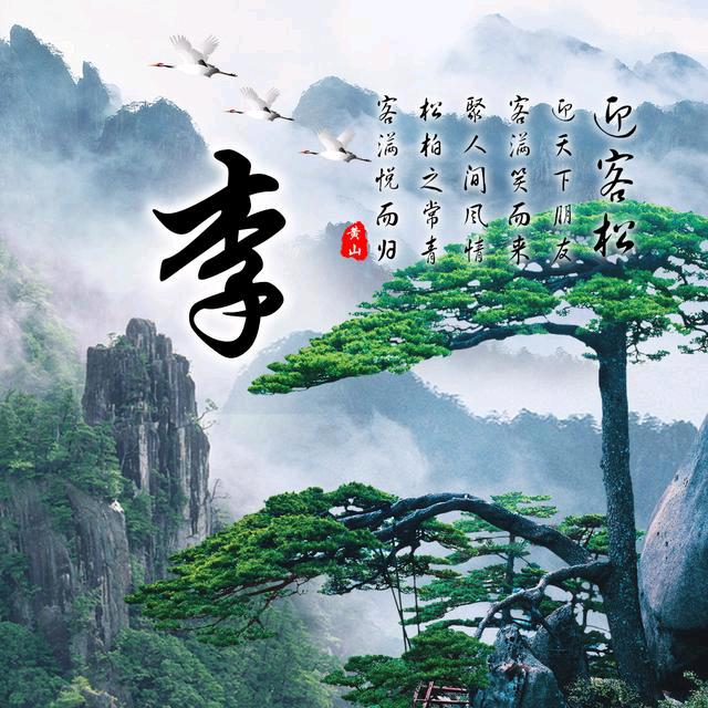 用户4458912098019