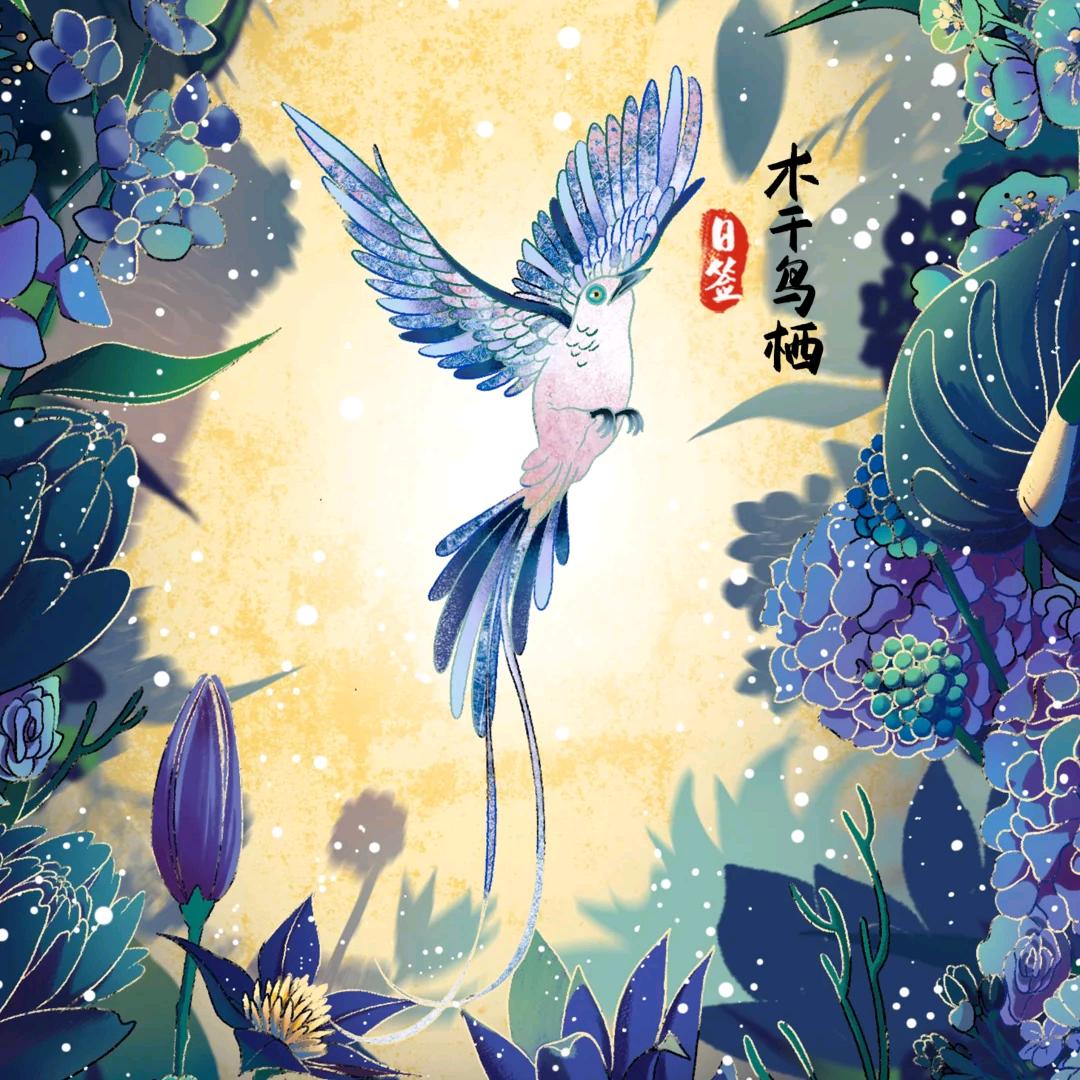 小郭推荐（下午2：50开播）