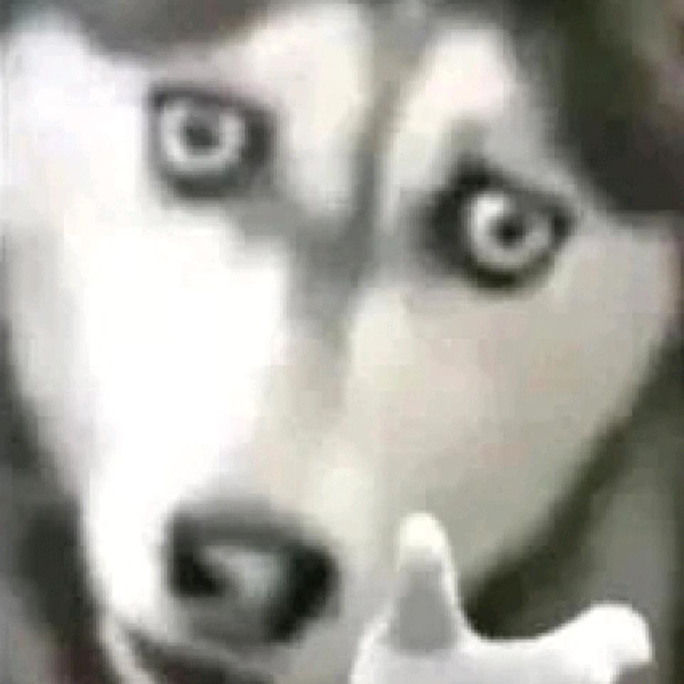 海阔天空光辉岁月