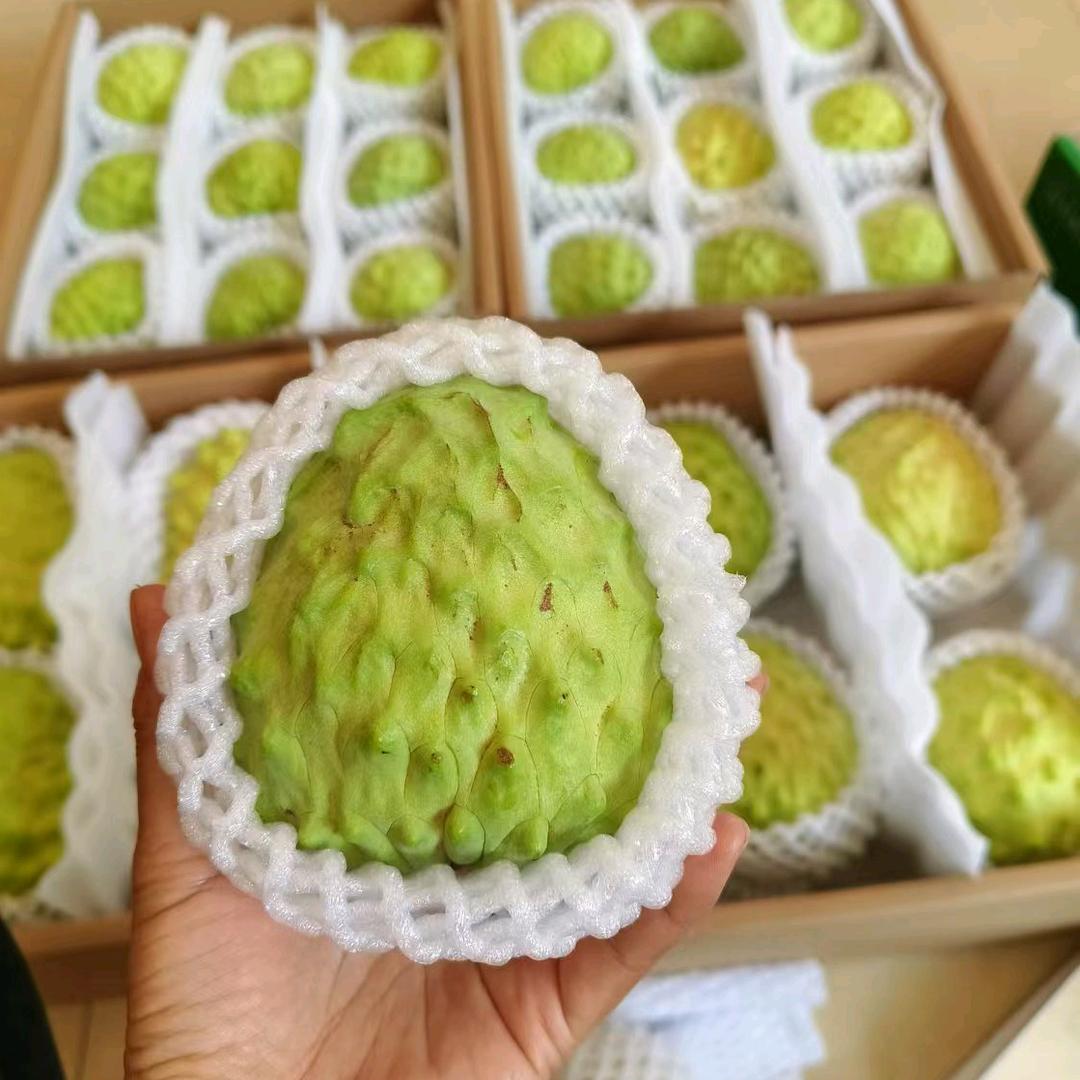 ζ成全了舍得