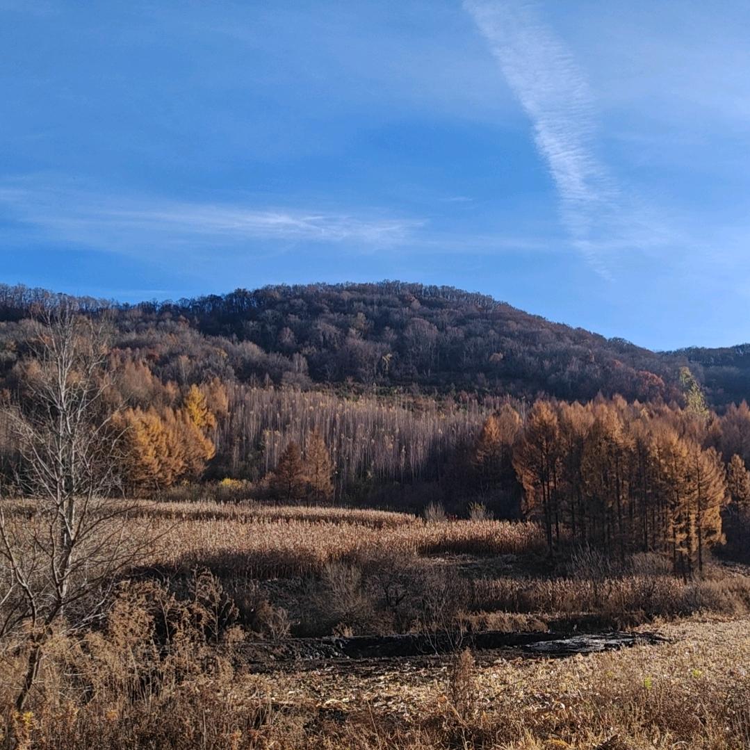 吉林市减脂训练营