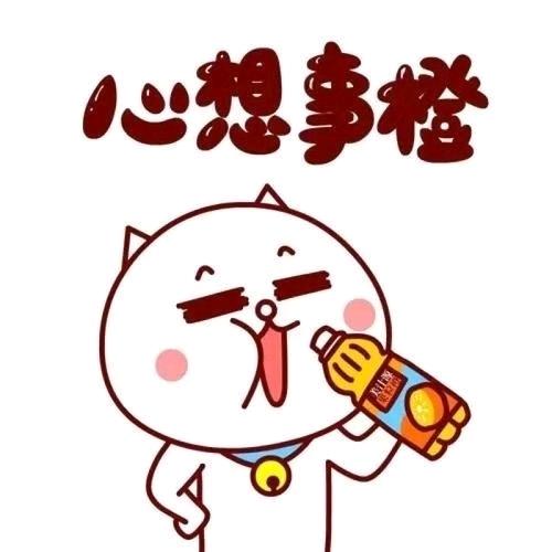 小桂品不贵