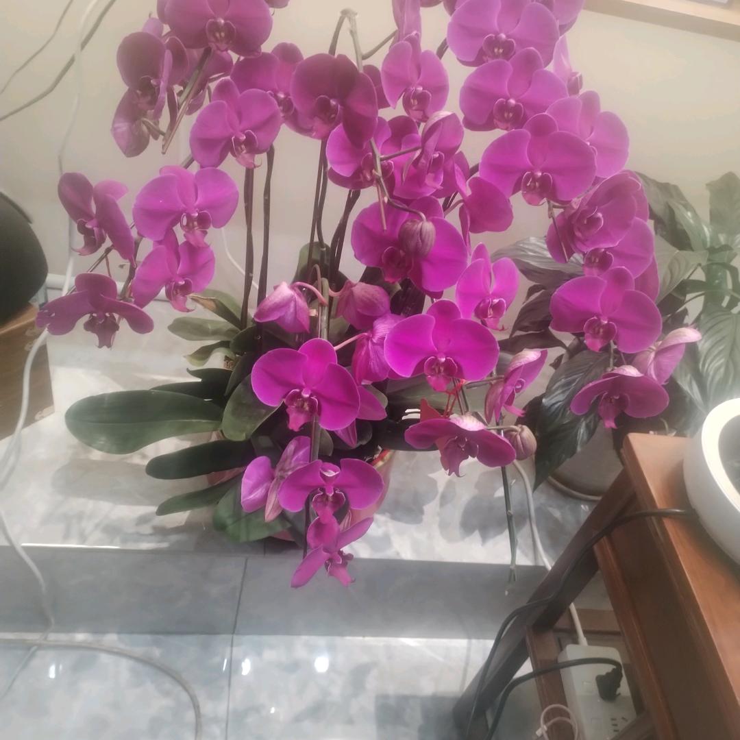 装修胡总加实体店