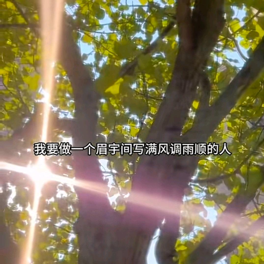 群子美学自然眉