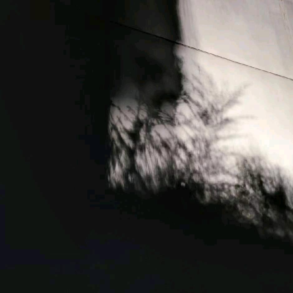 稀疏客