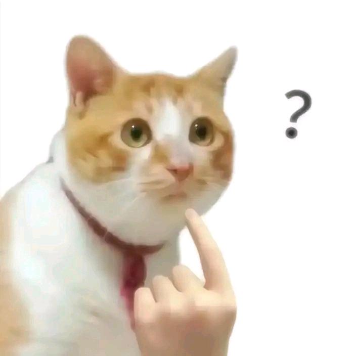狂狼网络-阿辉
