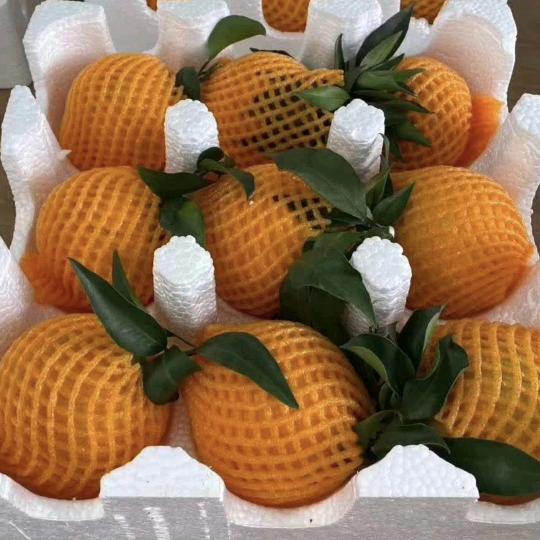 回忆《80年代生活》