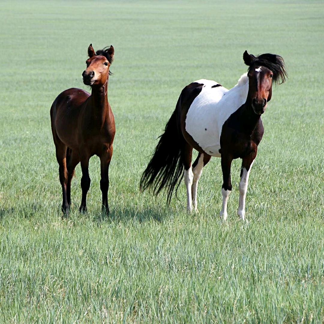 🚬🚬翻身🍻上安🐂