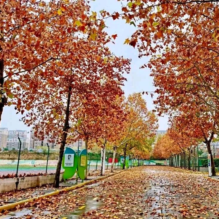 路过人间记录仪