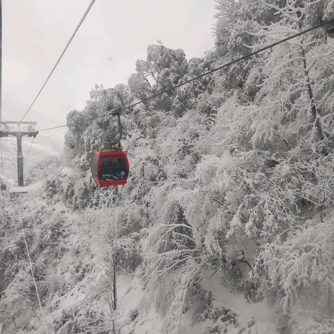 2017
