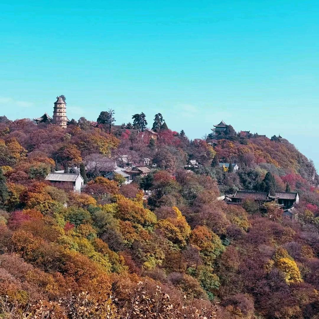 @ᥫ᭡熟悉的陌生人🍂🍂🍂捌貳伍ღ࿚